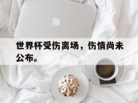 电子竞技app最新-世界杯受伤离场，伤情尚未公布。