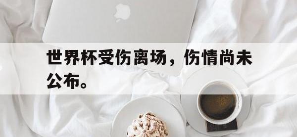 电子竞技app最新-世界杯受伤离场，伤情尚未公布。