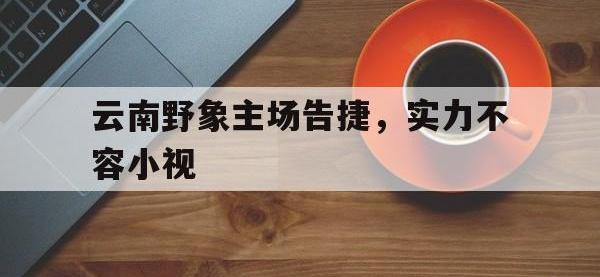 电子竞技app体育平台-云南野象主场告捷，实力不容小视