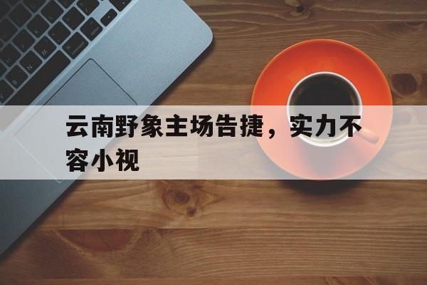 云南野象主场告捷，实力不容小视